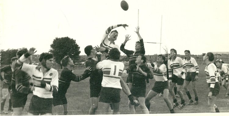 [JJ du Preez Under 19 first team 1963 (3)-website.jpg]